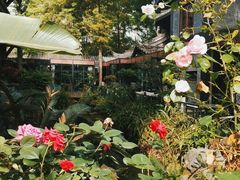 -大妙火锅·非物质文化遗产(东湖公园店)