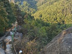 -南山植物园