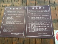 -大王村沙滩