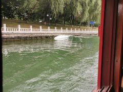 -皇家御河游(紫御湾码头)