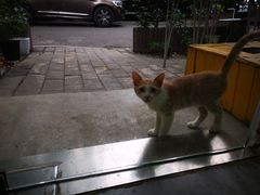 -五进制 Coffee Shop