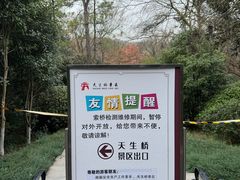 -天生桥景区