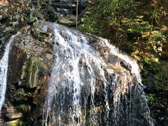 -藏龙百瀑风景区