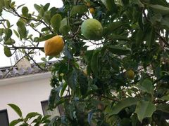 -兰纳泰式spa(古城店)