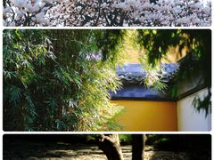 -北寺塔