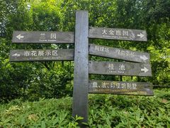 -南山植物园