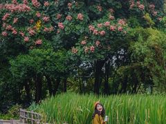 -成都市活水公园