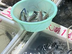 -陇南批发市场