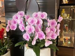 -行者书屋大堂吧 ·下午茶(南京圣和府邸酒店)