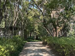 -汇龙潭