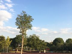 -九里河湿地公园