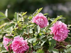 -大钟寺古钟博物馆