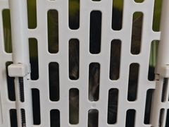 -半岛宠物医院24小时(科华中路店)
