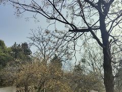 -云龙山