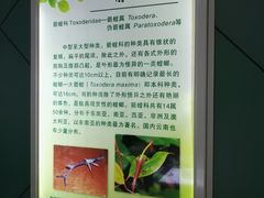 -上海昆虫博物馆