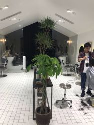 -大象造型