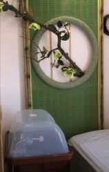 -芳朵美容养生SPA