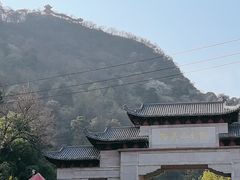 -黔灵山公园