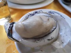 生蚝-蚝专家(北滘店)
