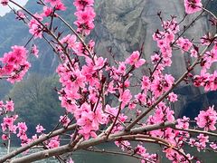 -绍兴东湖风景区