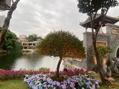 -荔湾湖公园