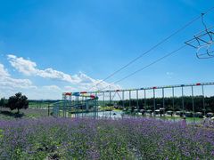 -北纬44度·金珠花海休闲农业旅游景区