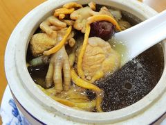 虫草花炖鸽爪汤-煲煲掂风味煲仔饭餐厅(西区店)