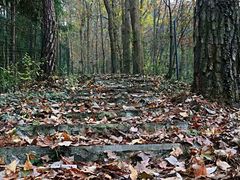 -素山寺森林公园