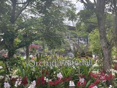 -新加坡飞禽公园