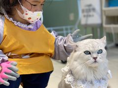 -怪兽屋·羊驼·猫咖·狗咖(俊华广场店)