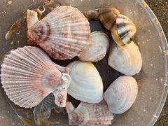 -那香海钻石沙滩浴场