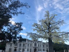 -玫瑰海岸文化旅游度假区