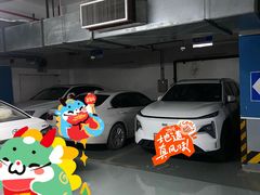 -鼎泰丰(国金店)