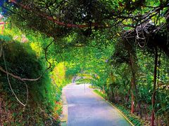 -鱼尾狮公园