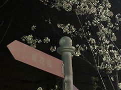 -高东镇樱花园