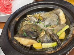 -金龙·打边炉(武进路店)