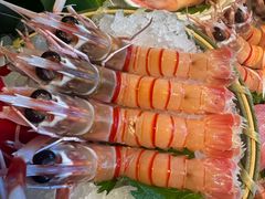 -Mr.Fish鱼鲜生海鲜放题(高德置地冬广场店)