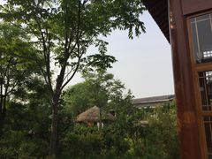 -夏津德百度假村温泉
