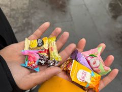 -皇藏峪国家森林公园