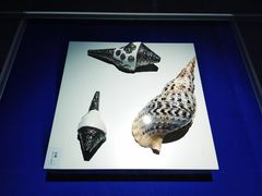 -贝壳王国博物馆