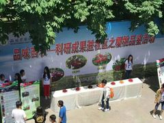 -西北农林科技大学(北校区)