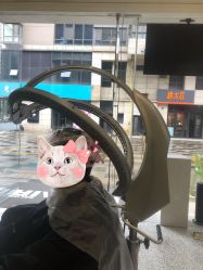 -I+造型烫发染发