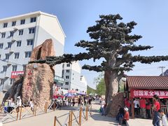 -山叶口景区