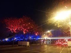-唐城墙遗址公园