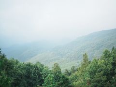 -四明山国家森林公园