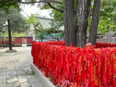 -红螺寺
