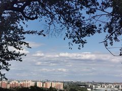 -阳台山自然风景区