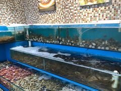 -港畔赶海蒸汽海鲜烧烤自助(仙螺岛店)