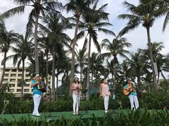 -渔家火锅·海鲜自助餐·演艺(亚龙湾天域酒店)