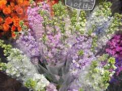 -循礼门鲜花花市(武汉循礼门店)